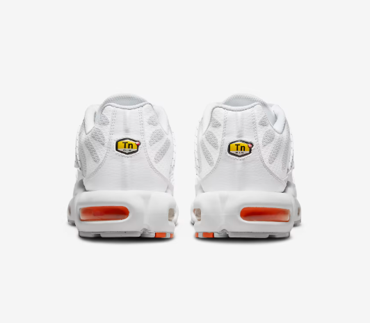 NIKE AIR MAX PLUS Utility - Spéciale édition