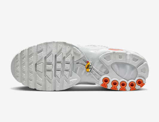 NIKE AIR MAX PLUS Utility - Spéciale édition