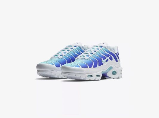 Nike Air Max Plus - TN SE
